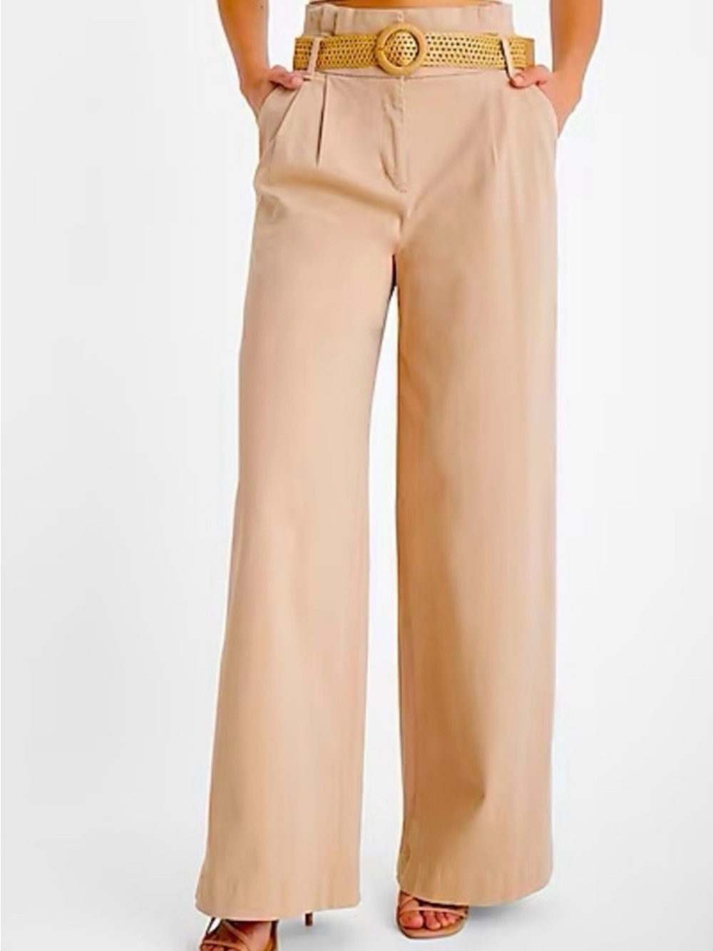 Express Wide-Leg High-Rise Pants in Beige